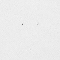 無印良品 壁に付けられる家具3連ハンガー オーク材突板 ライトグレー 良品計画