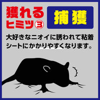 アース製薬 アースガーデン ネズミ専用立入禁止 エサ付き粘着シート 1箱（10セット入） 922300
