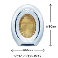 【アウトレット】【旧品】ファブリーズW消臭 トイレ用 置き形 シトラス・スプラッシュ 1パック（2個入） 消臭剤 P＆G