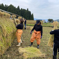 ギフトカード　御礼熨斗　内祝い　贈り物に　「南魚沼・塩沢産 有機栽培コシヒカリ」4種セット はざかけ米・自然乾燥米 8合　二重封筒（直送品）
