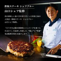 ステーキ屋さんの極上＆特選牛生ハンバーグ 桔梗-Kikyo-（直送品）