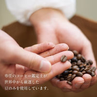 【ドリップコーヒー】片岡物産 匠のドリップコーヒー リッチ・モカアソート 1セット（120杯：60杯入×2箱）