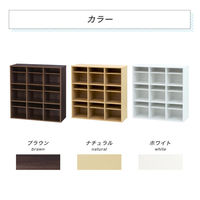 ネットフォース シューズラック 靴箱 3列3段 9人用 ナチュラル NF-SR0909-9-AW 1台（直送品）