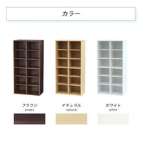 ネットフォース シューズラック 靴箱 2列6段 12人用 ブラウン NF-SR0612-12-AW 1台（直送品）