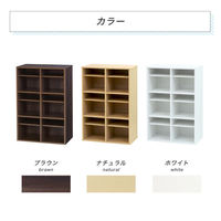 ネットフォース シューズラック 靴箱 2列3段 6人用 ナチュラル NF-SR0609-6-AW 1台（直送品）