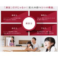 出雲カーボン 炭八 調湿木炭 床下用 QA-0089 1個