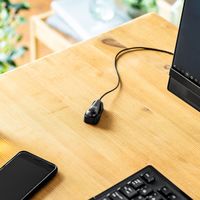 サンワサプライ クリップ付きPCマイク MM-MC24N 1個