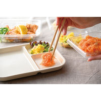 アイトー #0266032 ランチプレート ビスケット　1枚（直送品）