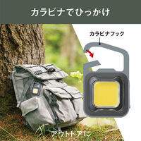 ムサシ 充電式フラッシュライト6W GB COB-WL006GB 1個