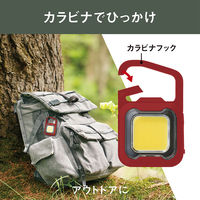 ムサシ 充電式フラッシュライト6W R COB-WL007R 1個