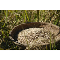 AoyamaLab 御歳暮 年末の贈り物 景品 極み・極金のしゃり ギフトセット E (高級木箱入り) ギフトカード 二重封筒 熨斗 １式（直送品）