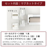 簡単目隠し「スチールラック用ロールスクリーン＜マグネット＞ エナメル」幅75cmｘ高さ180cm RK-167-M 1セット トーソー（直送品）