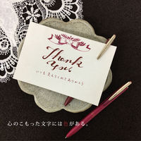 ゼブラ ジェルボールペン サラサグランド 0.5mm  ブルーグレー　１本入 P-JJ56-VBGR 10本（直送品）