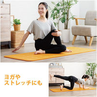 ヨガマット トレーニングマット 厚さ10mm 防音対策 183×61×1cm オレンジ HCFWYMW10DR エレコム 1個（直送品）