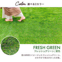 三栄コーポレーション 人工芝ロール 人工芝マット 2m×10m　芝丈35mm ナチュラルグリーン/春・秋色（直送品）