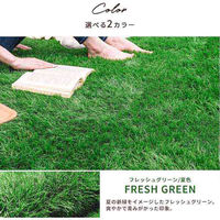 三栄コーポレーション 人工芝ロール 人工芝マット 2m×10m　芝丈50mm フレッシュグリーン/夏色（直送品）