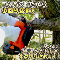 エアロボックス YF LSC18-JP 24Vハンディチェンソー 6939500729583 1セット（直送品）