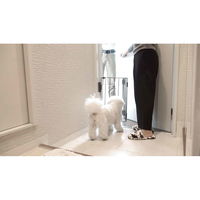 タカラ産業 ペットフェンス ウェルカム ドッグフェンス 飛び出し防止 小型犬専用 開き扉用 ブラウン 304354 1個（直送品）