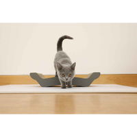 シービージャパン レザー調爪とぎ TOGITOGI ベッド hachi 391700 1個（直送品）