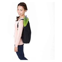 アイメディア エコバッグ リュック型 16L コンパクトにたためる買い物バッグ ブラック 330701 1個（直送品）