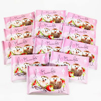 【ワゴンセール】オールハーツカンパニー ハリスとヨリスのチョコかけすぎちゃったラスク（いちご） 1セット（12枚）