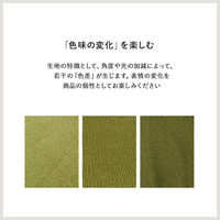 【軒先渡し】萩原 ソファ 幅750mm グリーン LZ-4627GR 1台（直送品）