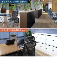 Netforce 両開き書庫セット 鍵付 スチール 収納 保管庫 キャビネット 2段 ホワイト 1セット（直送品）