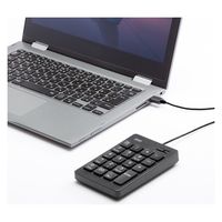 サンワサプライ 抗菌テンキー NT-25UBK 1個（直送品）