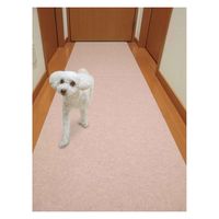 サンコー バリアフリーマット 無地 2枚 ライトベージュ 207141 1個（直送品）