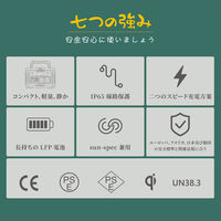 ポータブル電源 蓄電池 634Wh容量 定格500W出力 ADVANCE650 （500W/634Wh） 1台 TogoPower