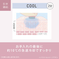 パナソニック イオン美顔器 イオンブースト EH-ST0A-N 1台