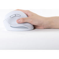 ナカバヤシ 無線静音5ボタンエルゴノミクスマウスホワイト MUS-RKF179W 1個（直送品）