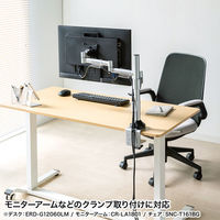 サンワサプライ ガス昇降デスク 幅1200×奥行600×高さ683～1070mm ホワイト×ホワイト ERD-G12060W 1台（直送品）