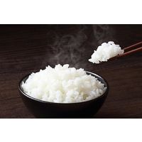 むらせ 【無洗米】山形県産はえぬき 20kg 25034 4袋(5kgx4)（直送品）