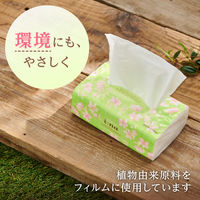 エリエール イーナ ソフトパック ティッシュペーパー 200組 1箱(60個:6個入×10パック) 大王製紙