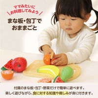 アーテック 木製おままごとセット　くだもの 6753 1個（直送品）