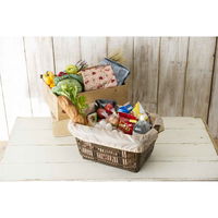 トーン エコバッグ 折り畳み レジカゴ用バッグ 保冷機能付き ブラウン 335680 1個（直送品）