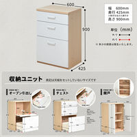 B.Bファニシング AFFOGATO 単品タイプ 開き戸 幅600×奥行400×高さ900mm AFCH0096CNT60 1台（直送品）