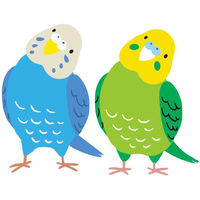 聖新陶芸 聖新 EG-59 鳥のことわざ たまご占い　1袋（直送品）