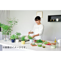 聖新陶芸 聖新 GD-95102 レシピ付栽培セットイタリアンパセリ　1セット（直送品）