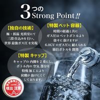 日本ビール 龍馬 POWER SODA PET 500ml 1セット（48本）