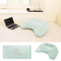 スマホ＆読書クッション BL　ブルーx8　スマホ 読書 クッション 腕 肩 腰 首 楽 椅子 腰当て デスク 血色 ニュアンス カラー（直送品）