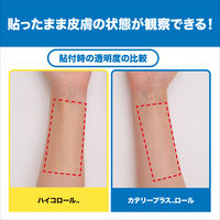 ニチバン ハイコロール HCR100 1箱(1巻入)