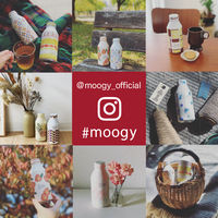 【アウトレット】【わくわくシリーズ】キリンビバレッジ 生姜とハーブのぬくもり麦茶moogy（ムーギー）375g 1セット（48缶）