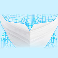 大容量 白元アース 快適ガードプロ プリーツタイプ ふつうサイズ 1セット（30枚入×2箱）