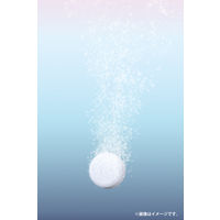 ビューウェル アンドグッドナイト 薬用入浴剤（重炭酸）無香料 15g×9錠 グローバルプロダクトプランニング 安眠 タブレット