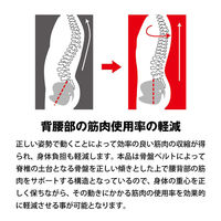 モリトジャパン 全身アシストパワースーツL 腰周り85~110cm/身長170~185cm程度 4902993111434 1セット(1台×3)
