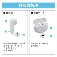 小林薬品 RABLISS ワイヤレス集音器 KO288 10002207 1個