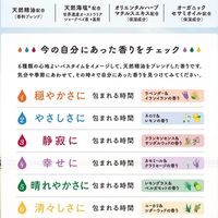 【アウトレット】【アスクル限定】 アーユルタイム バスソルト 6種アソートボックス 詰め合わせ 1セット（12包入×2箱） アース製薬 限定