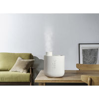 スリーアップ 上部給水式スチーム加湿器フォグチムニー ホワイト ST-T2140WH 1台（直送品）